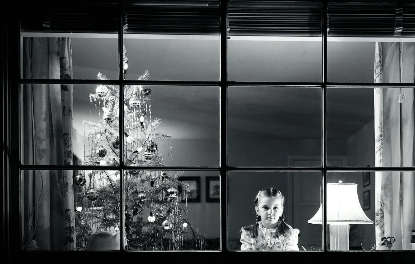 Photo wallpaper tree, new year, window, black and white, waiting