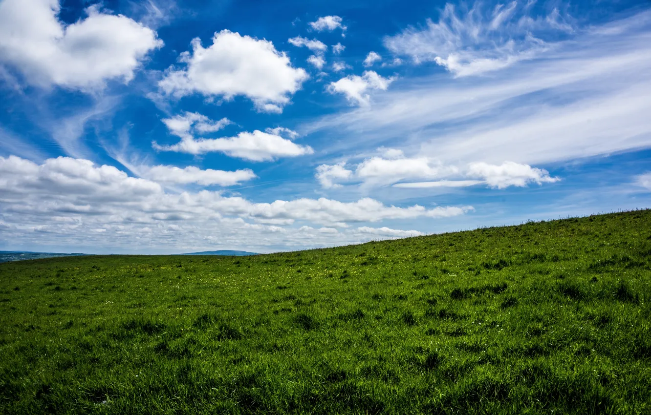 Photo wallpaper field, the sky, grass, clouds, landscape, nature, horizon, grass