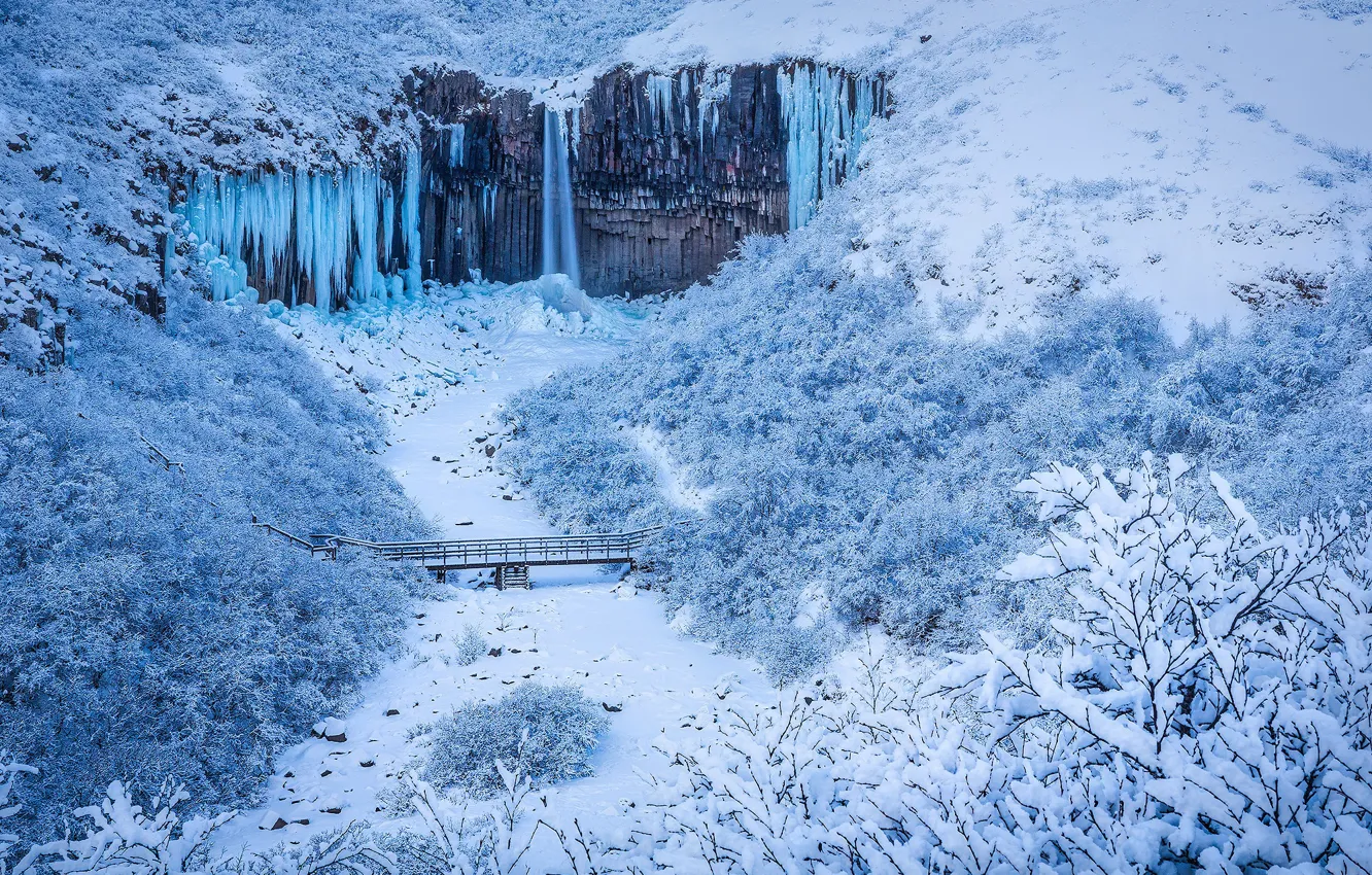 Photo wallpaper winter, forest, snow, bridge, rock, river, Iceland, Iceland