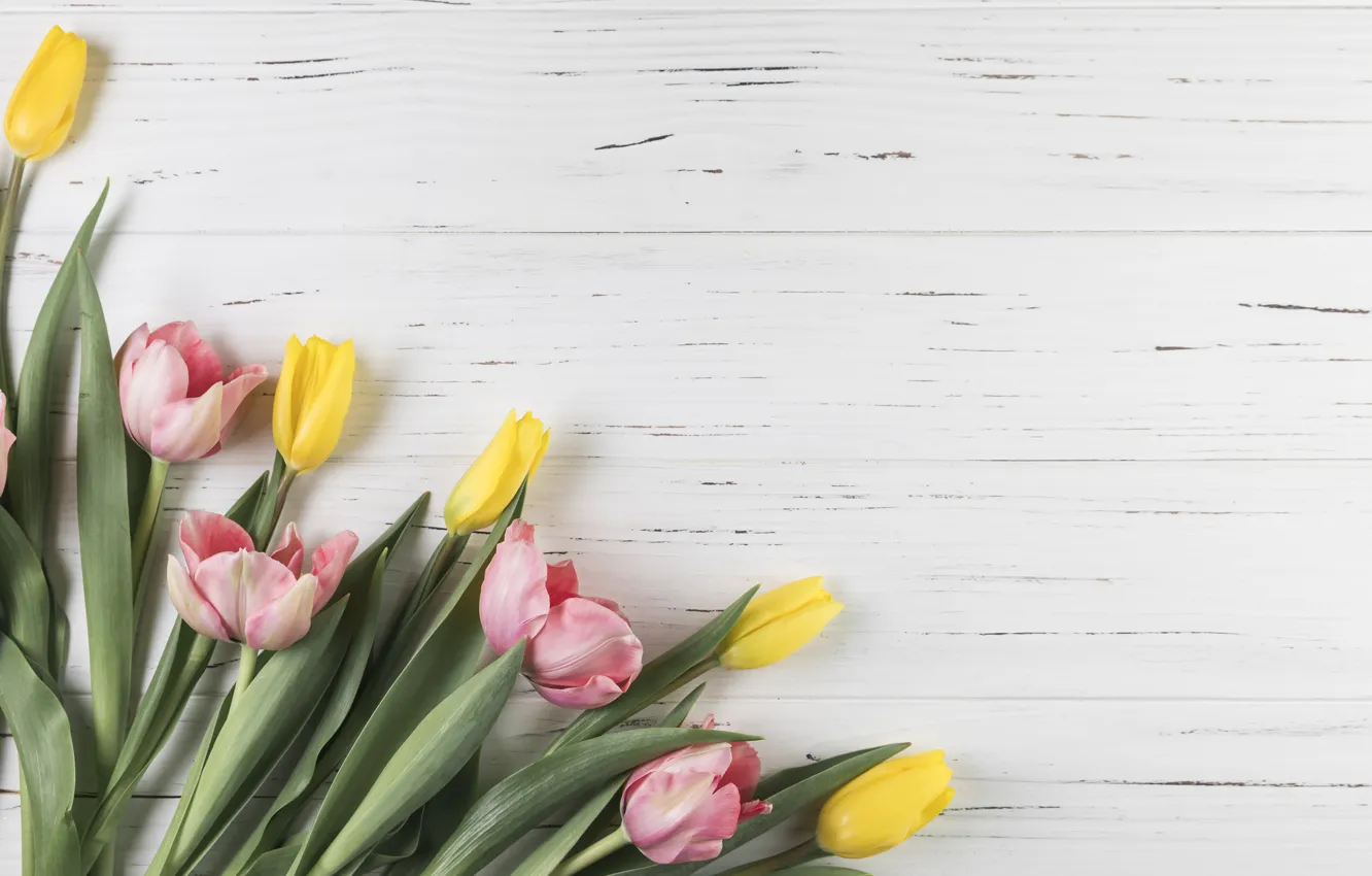 Photo wallpaper flowers, yellow, tulips, pink, yellow, pink, flowers, beautiful