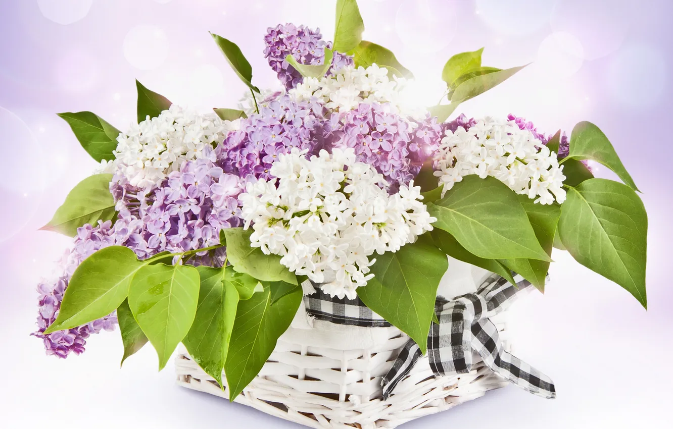 Photo wallpaper flowers, spring, lilac
