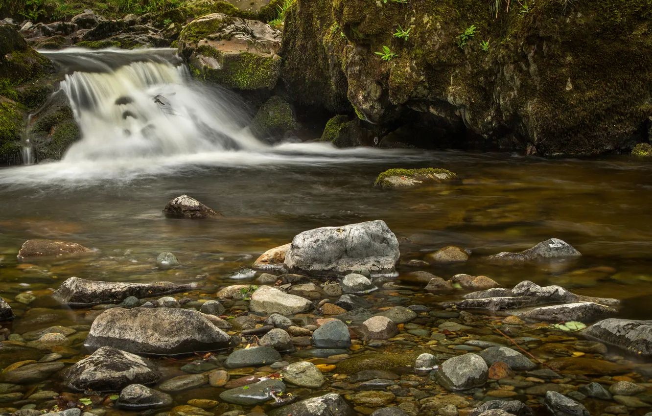 Photo wallpaper forest, river, stream, stones, thresholds