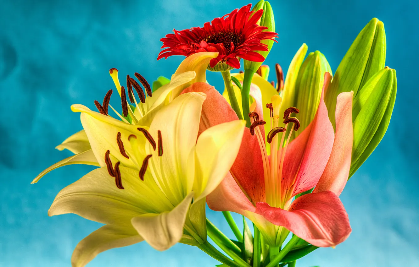 Photo wallpaper nature, Lily, bouquet, petals