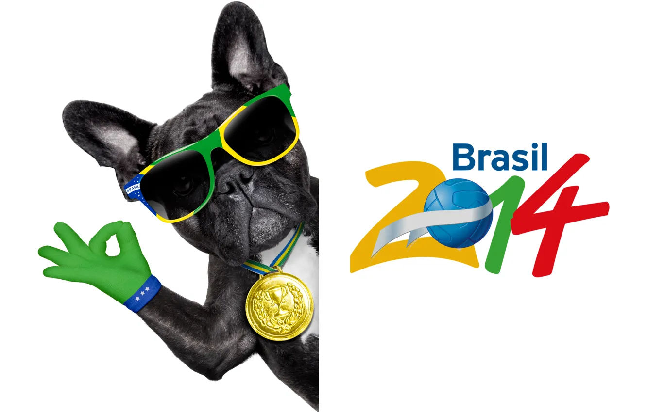Photo wallpaper logo, dog, football, flag, funny, cool, World Cup, Brasil