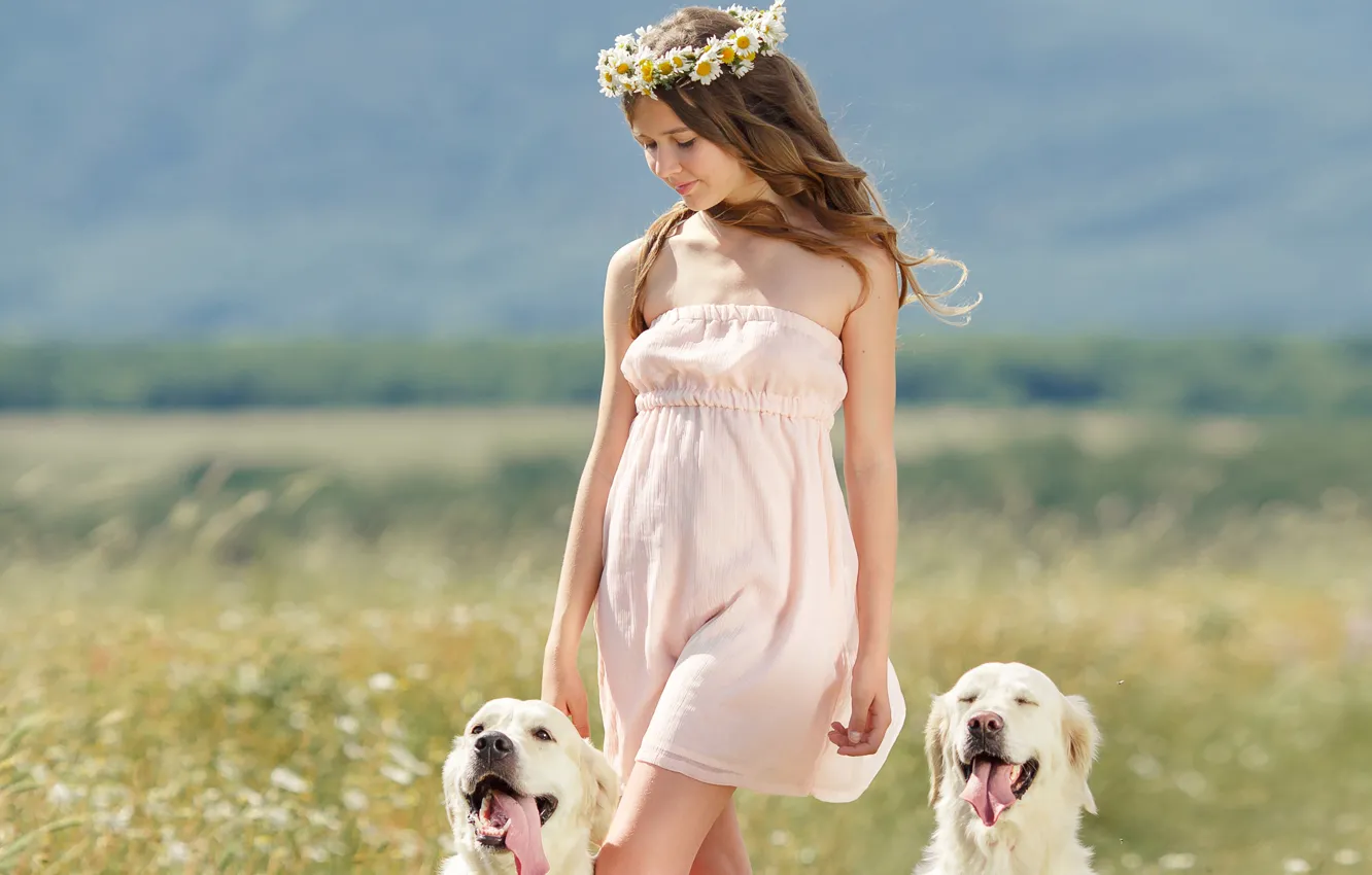 Photo wallpaper girl, smile, chamomile, dog, brown hair, wreath