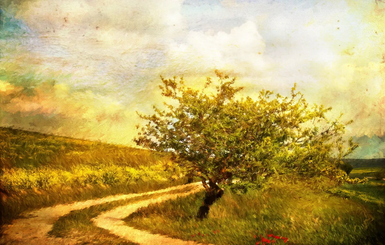 Photo wallpaper road, autumn, grass, landscape, flowers, tree, figure, picture