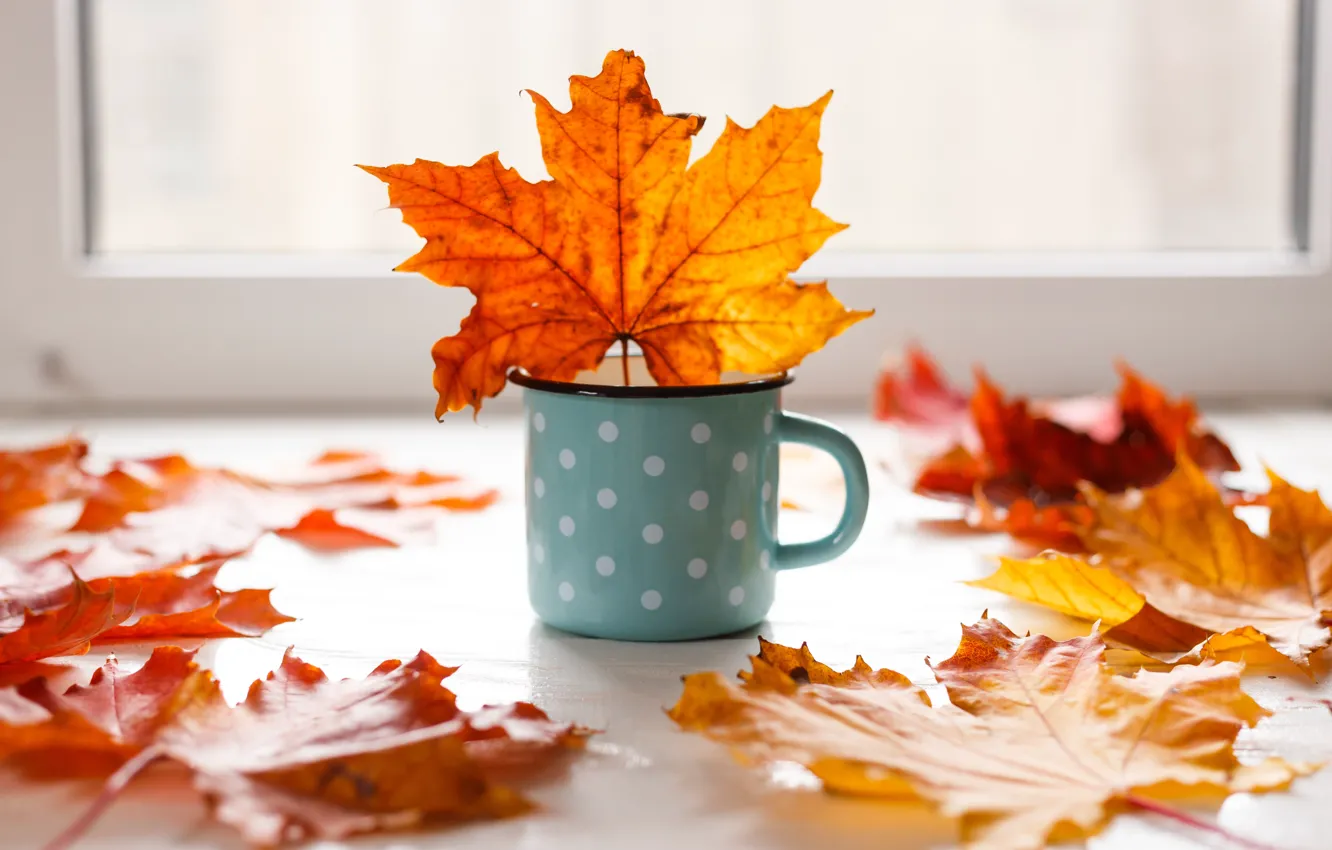 Photo wallpaper autumn, leaves, background, colorful, mug, maple, yellow, wood