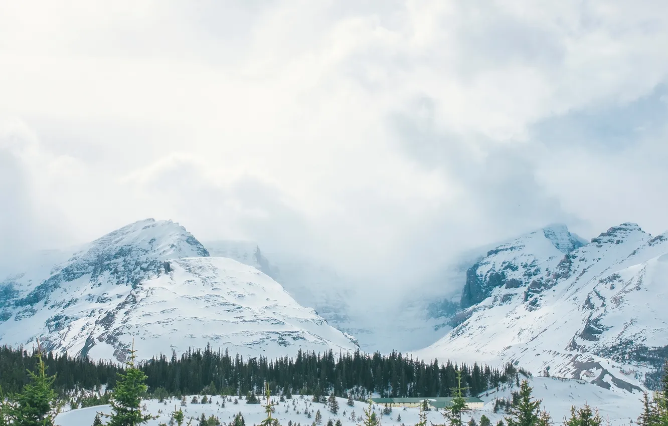 Photo wallpaper winter, forest, the sky, clouds, snow, trees, landscape, mountains