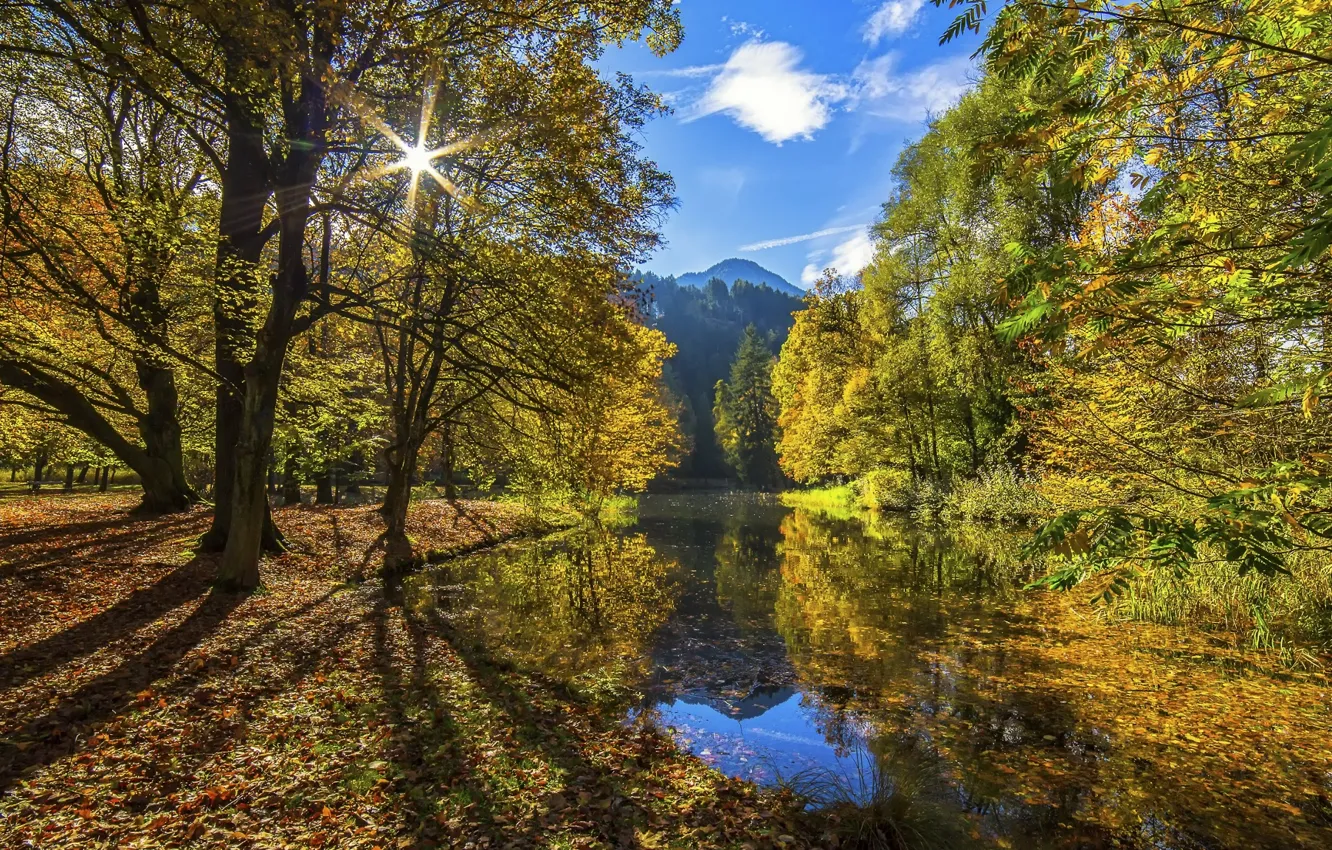 Photo wallpaper autumn, forest, the sky, water, the sun, clouds, light, mountains