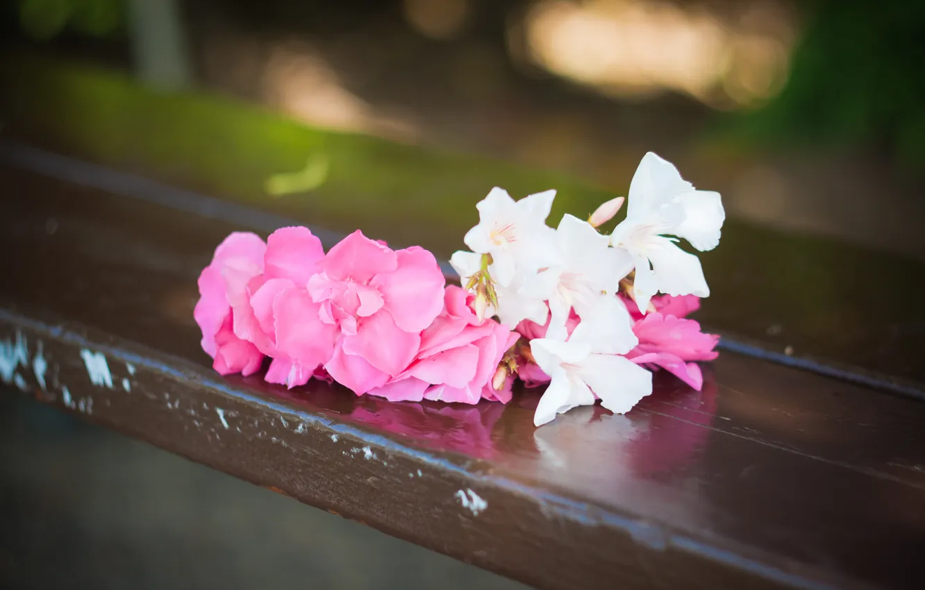 Photo wallpaper love, flowers, bench, romance, pink