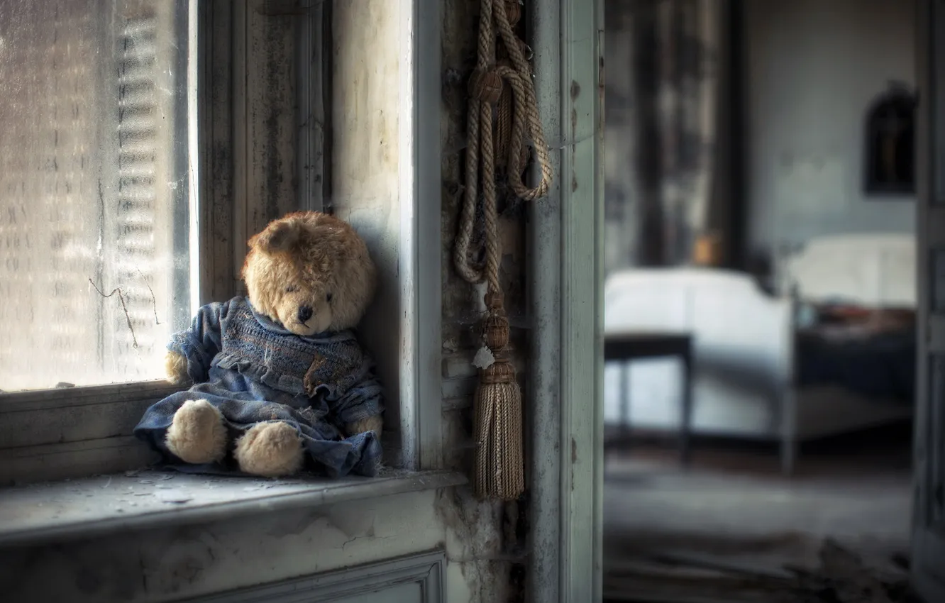 Photo wallpaper room, window, bear