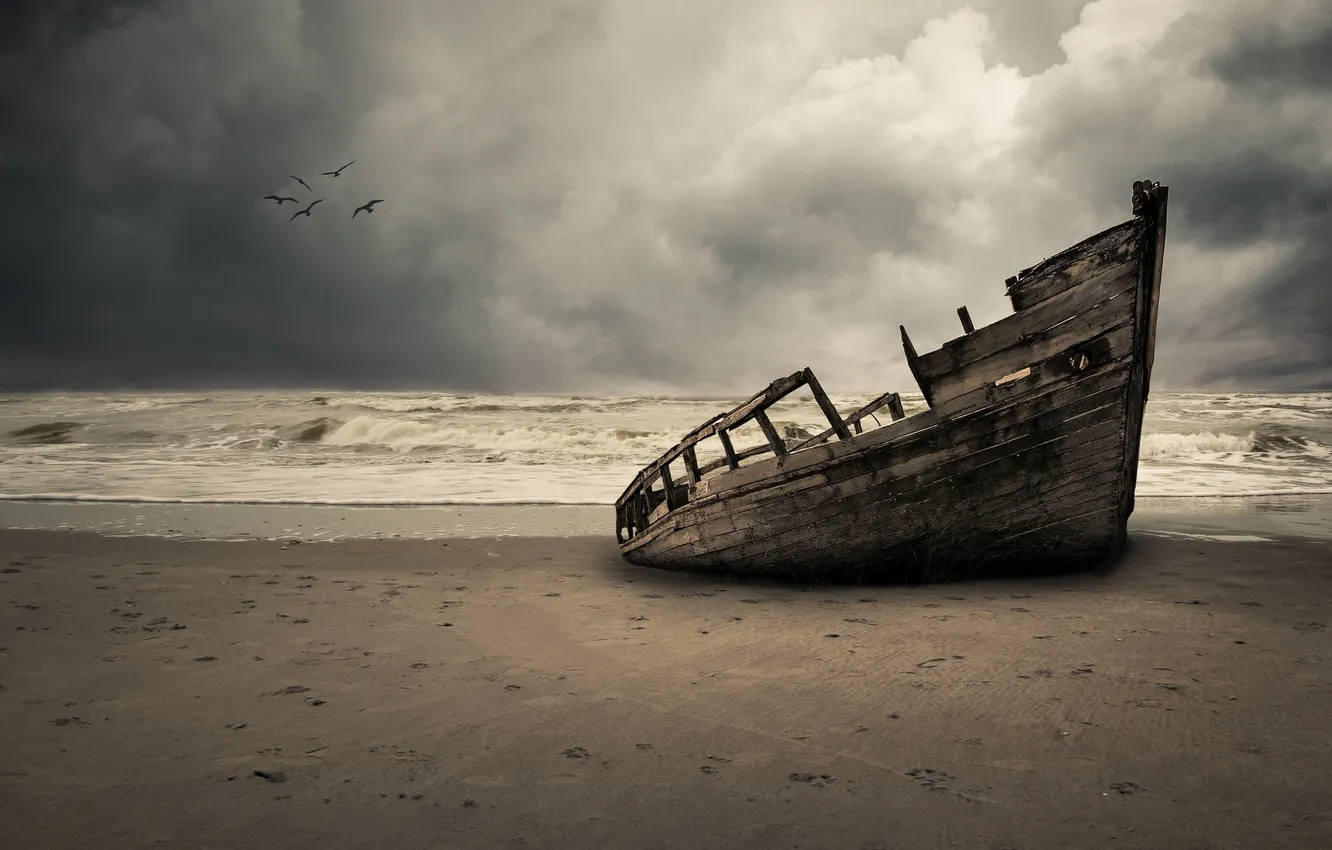 Photo wallpaper sea, the storm, wave, beach, boat, seagulls, gray clouds
