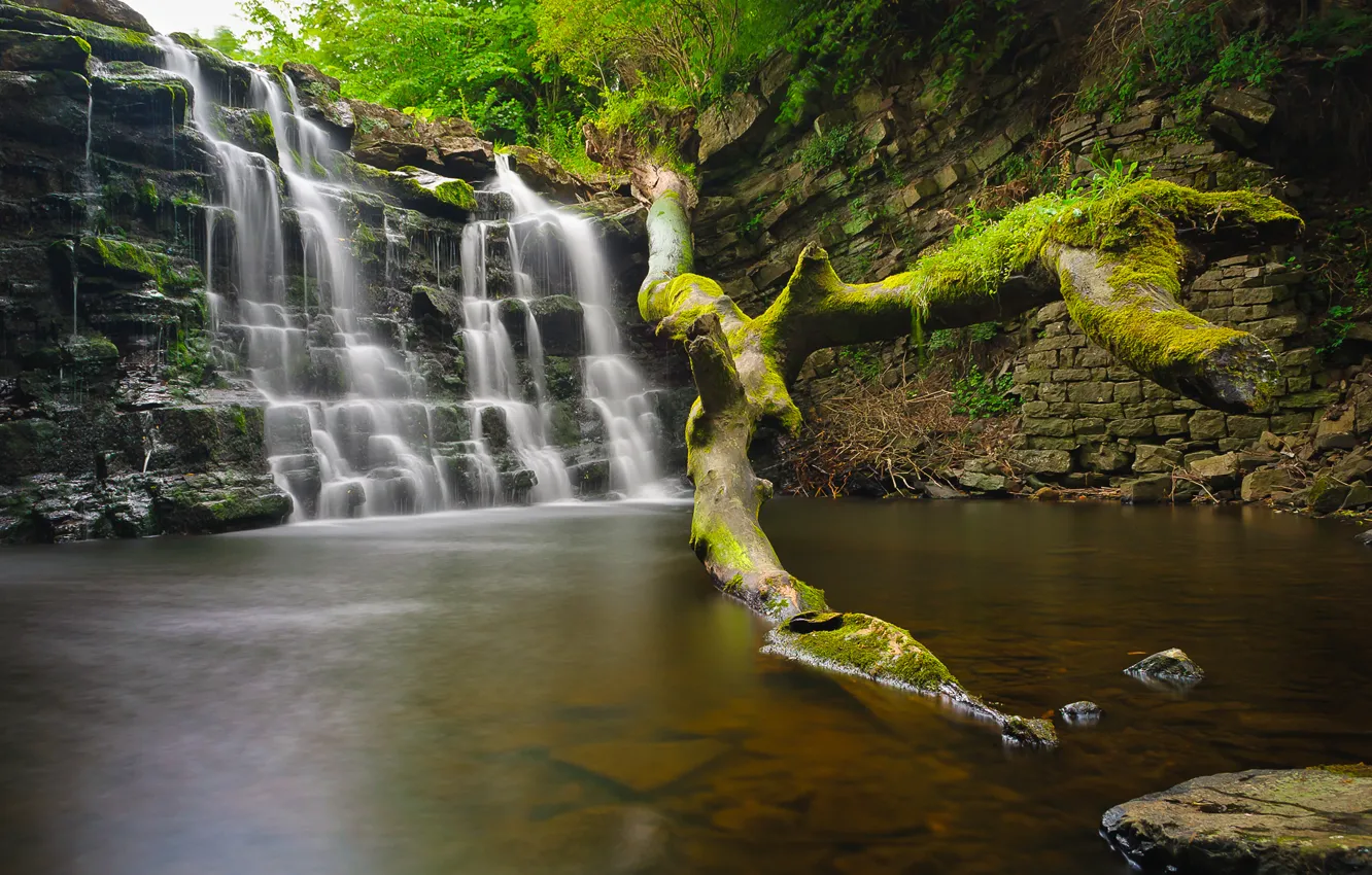 Photo wallpaper forest, trees, stones, rocks, waterfall, stream