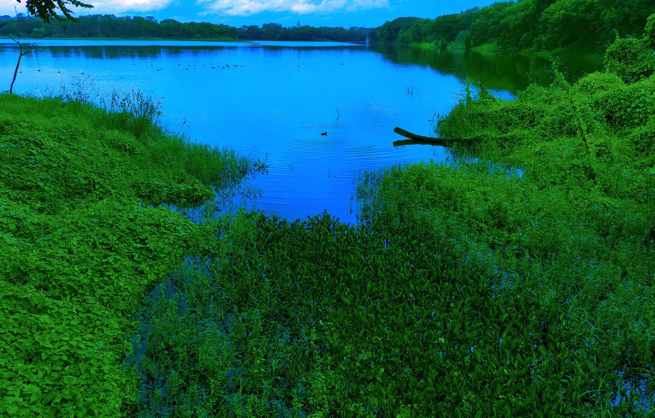 Photo wallpaper sky, trees, water, lake, morning, dawn, woods, reflection