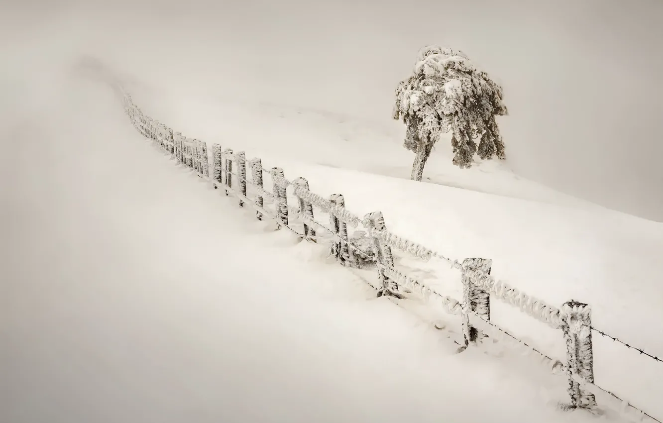 Photo wallpaper winter, snow, fog, the fence