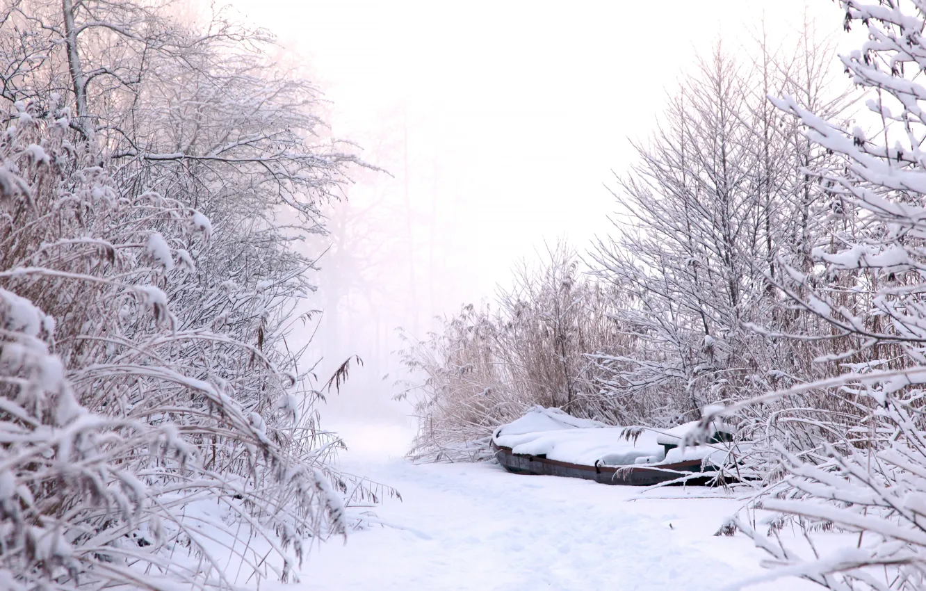 Photo wallpaper winter, frost, the sky, snow, branches, nature, fog, boat