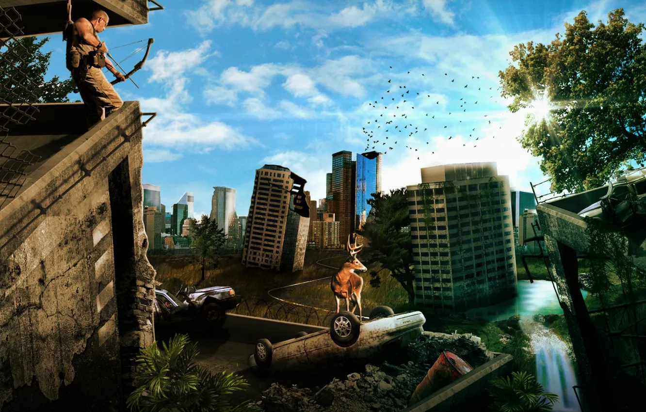 Photo wallpaper machine, the sky, the sun, the city, bird, people, home, deer