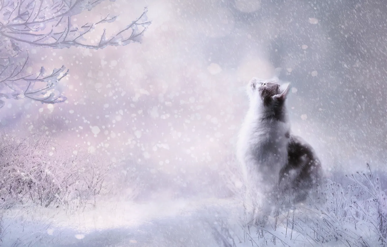 Photo wallpaper winter, cat, cat, look, snow, pose, rendering, the snow