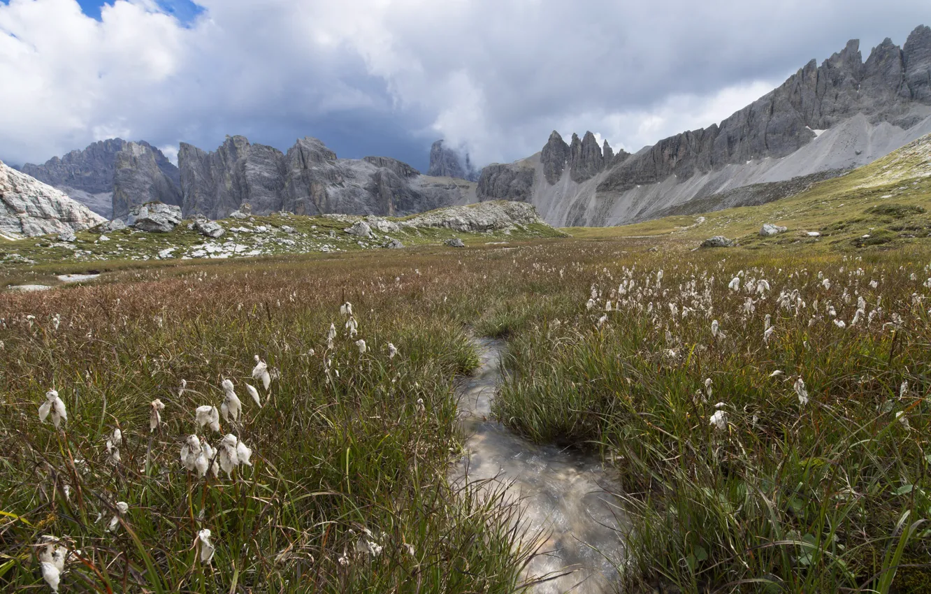 Photo wallpaper grass, mountains, meadow, Leonardo Rodriguez