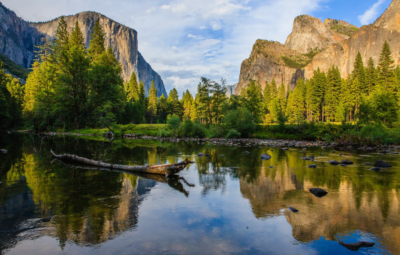 Photo wallpaper forest, mountains, river, stones, CA, USA, snag, Yosemite National Park