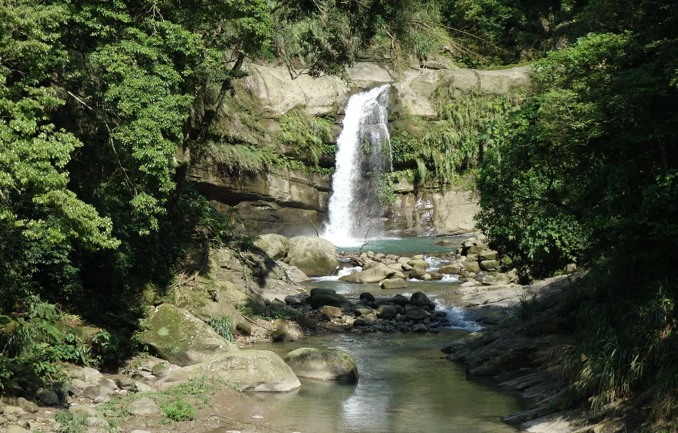 Photo wallpaper trees, stream, stones, rocks, foliage, waterfall, direction