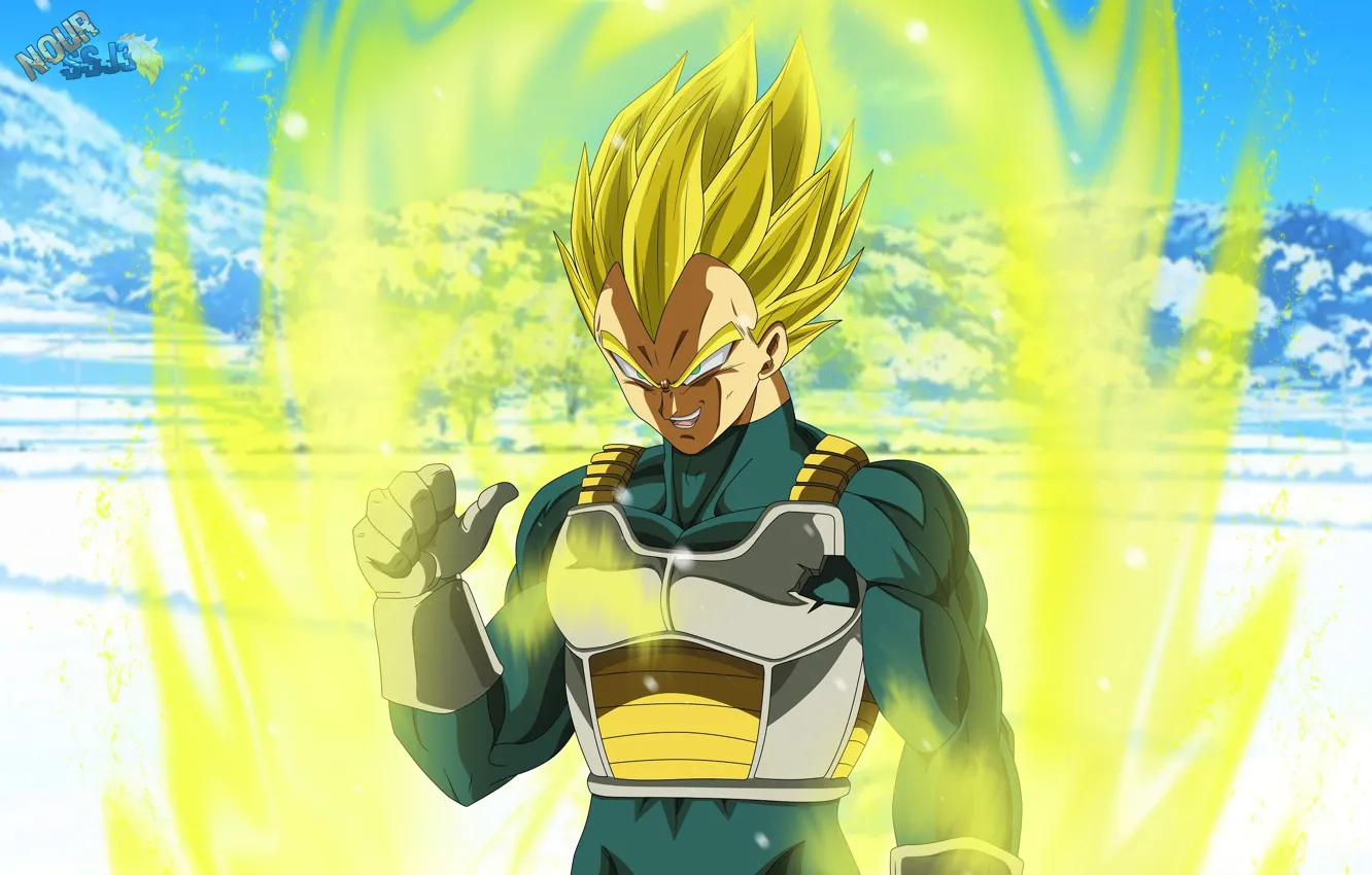 Photo wallpaper guy, Dragon Ball, Dragonball