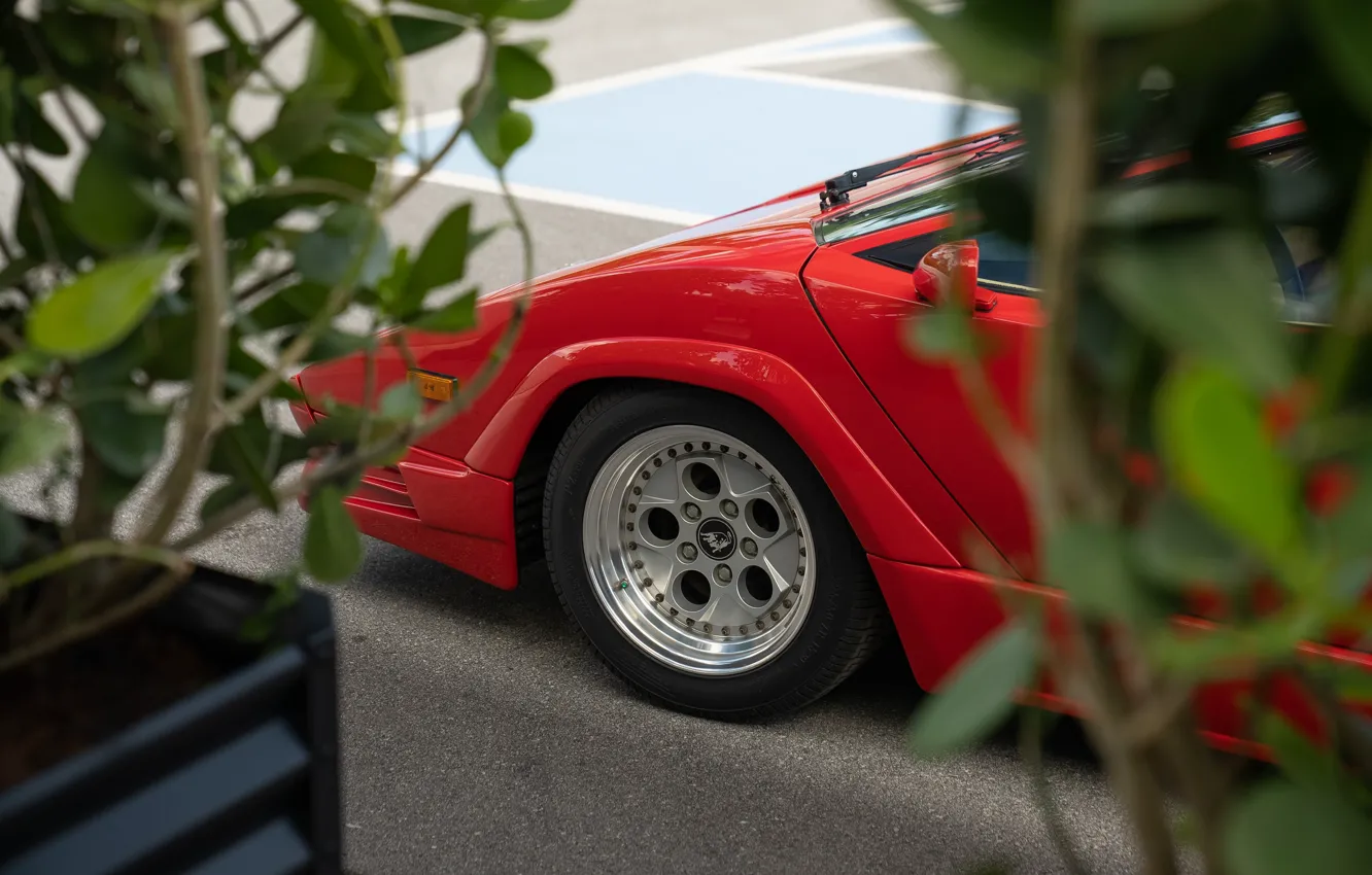 Photo wallpaper Lamborghini, lambo, Countach, wheel, Lamborghini Countach 25th Anniversary