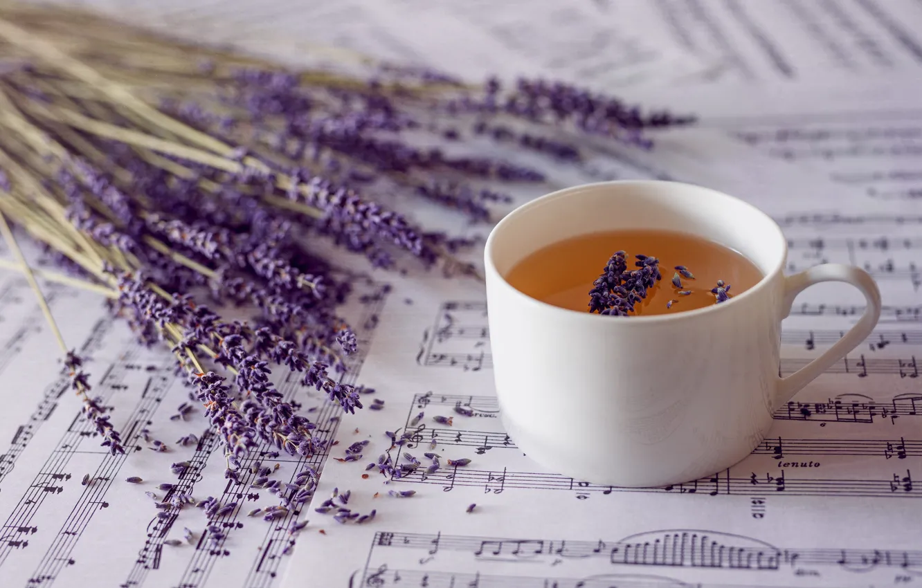Photo wallpaper notes, tea, lavender