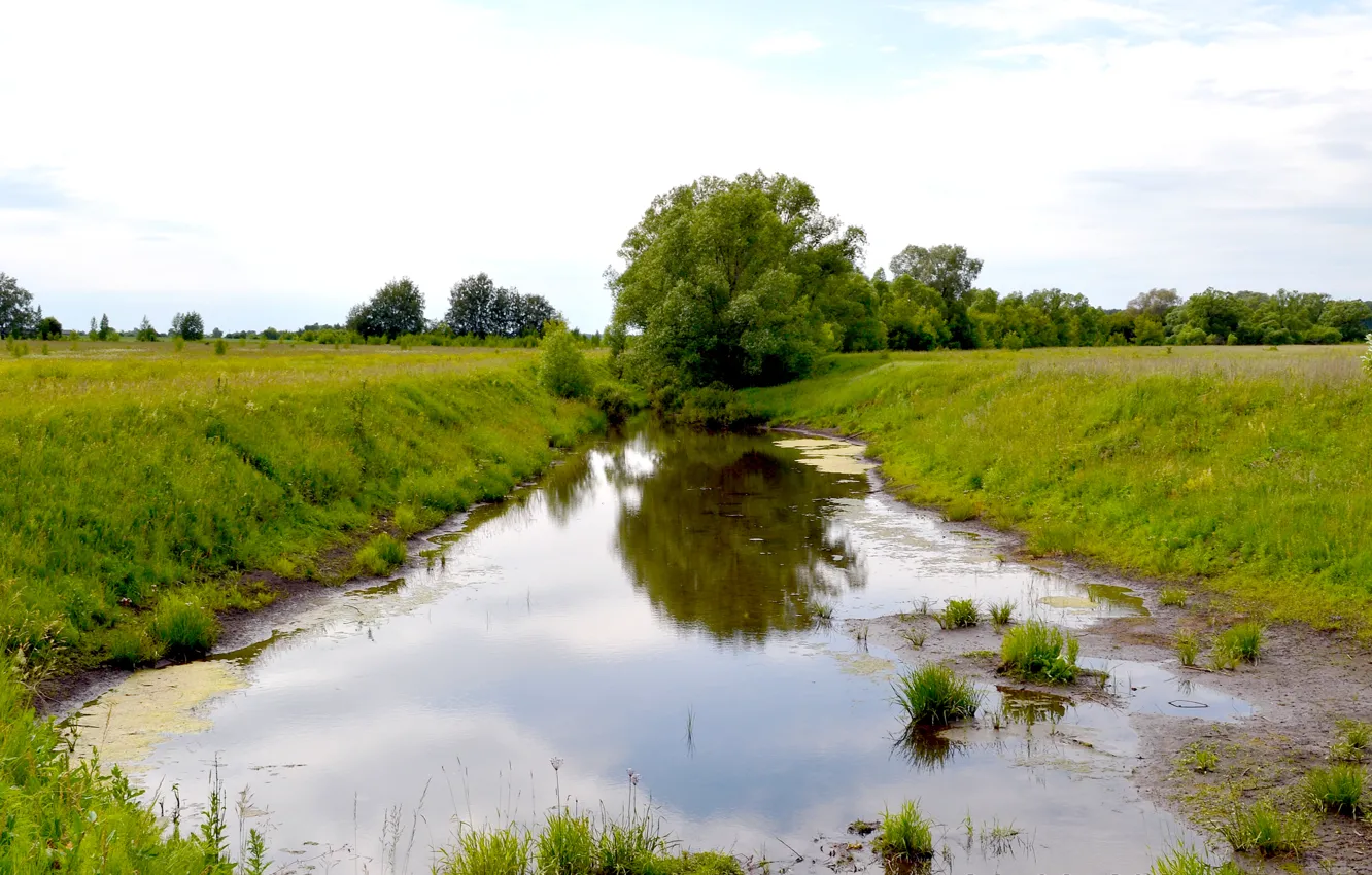 Photo wallpaper the sky, grass, trees, river