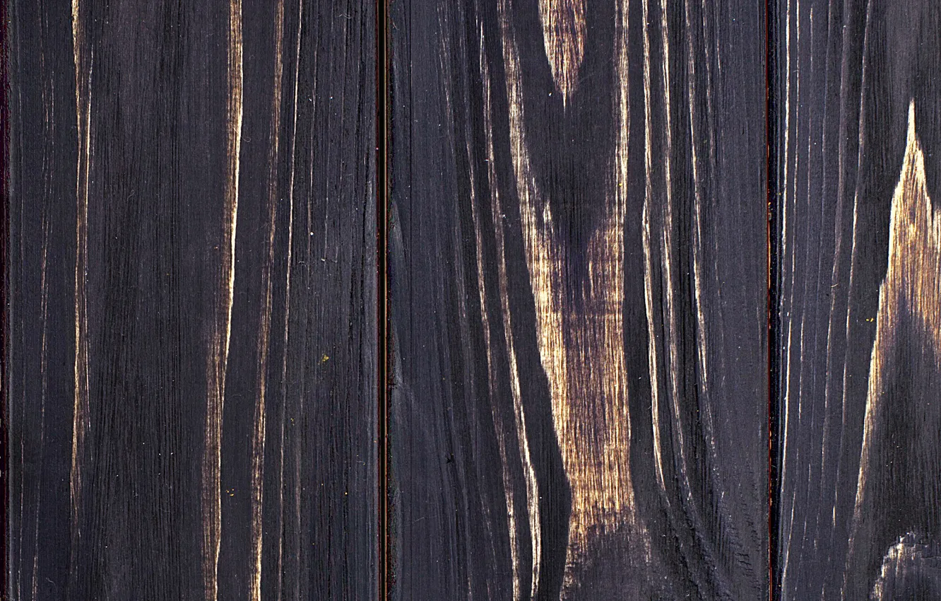Photo wallpaper wood, texture, finish