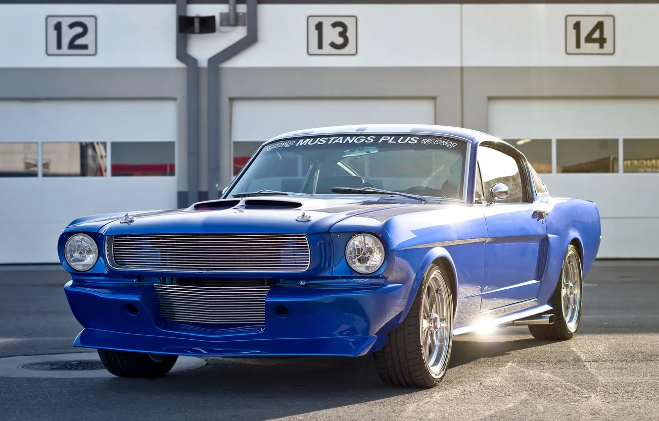 Photo wallpaper blue, Mustang, Ford, classic, the front