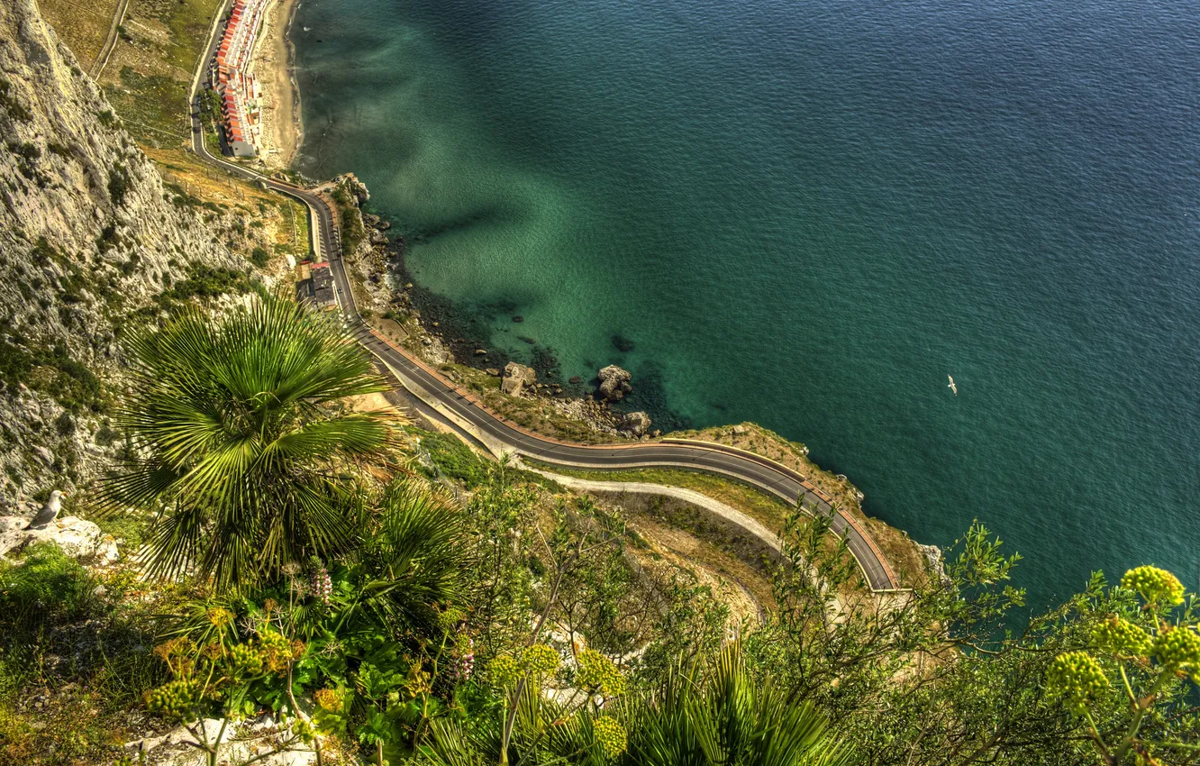 Photo wallpaper road, sea, nature, palm trees, rocks, coast, Gibraltar, Gibraltar