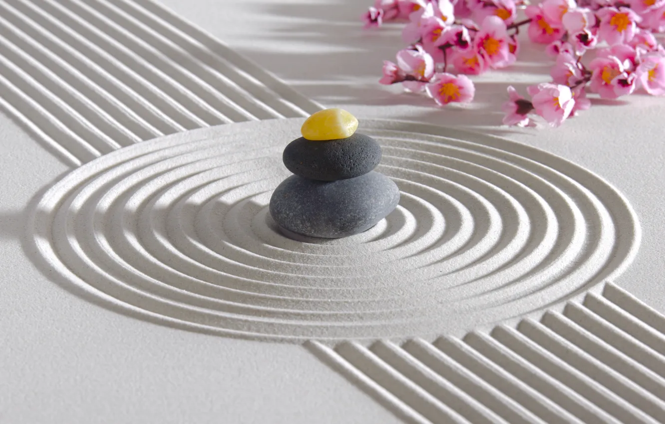 Photo wallpaper energy, flowers, stone, Japan, garden, Japan, stone, Zen