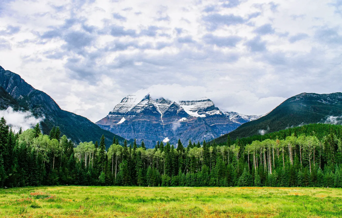 Photo wallpaper summer, clouds, summer, clouds, the edge of the forest, the beauty of nature, green meadow, …