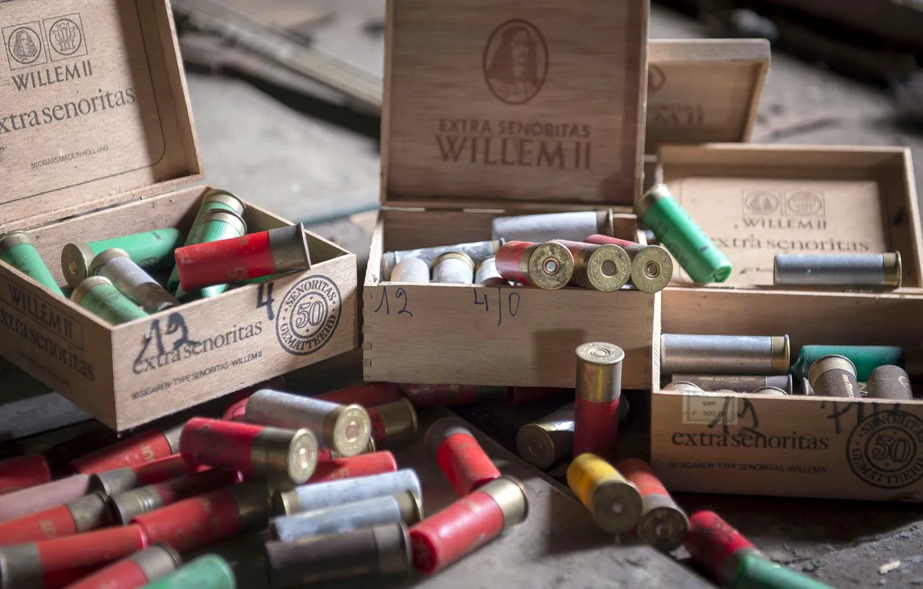 Photo wallpaper macro, weapons, cartridges