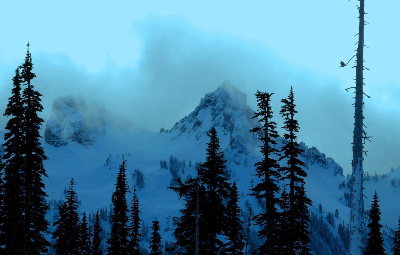 Photo wallpaper winter, snow, trees, mountains, nature, rocks, USA, USA