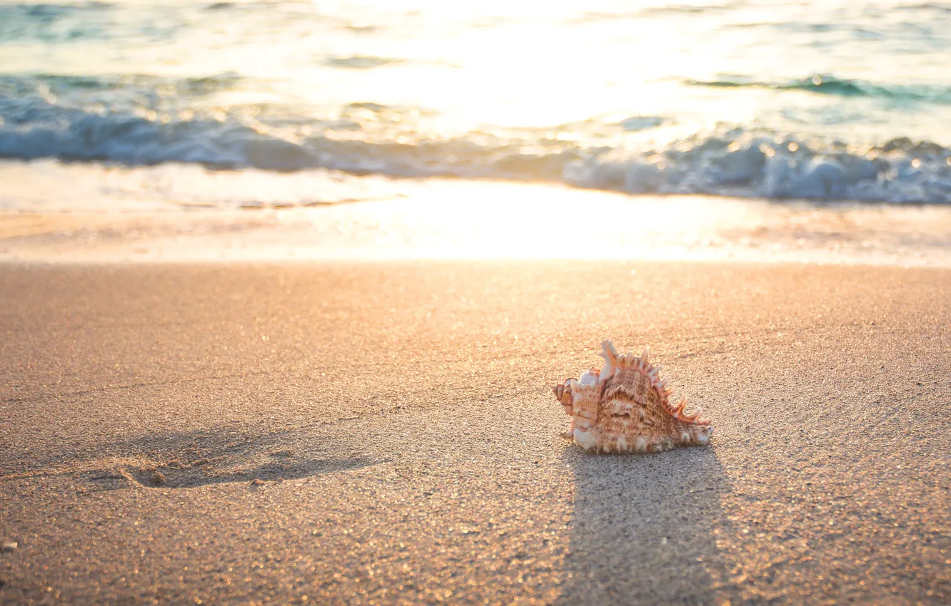 Photo wallpaper sand, sea, wave, beach, light, nature, mood, relax