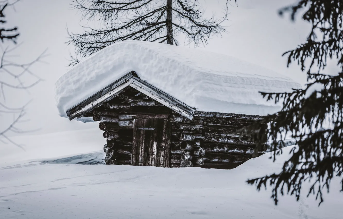 Photo wallpaper winter, snow, nature, the snow, house, hut
