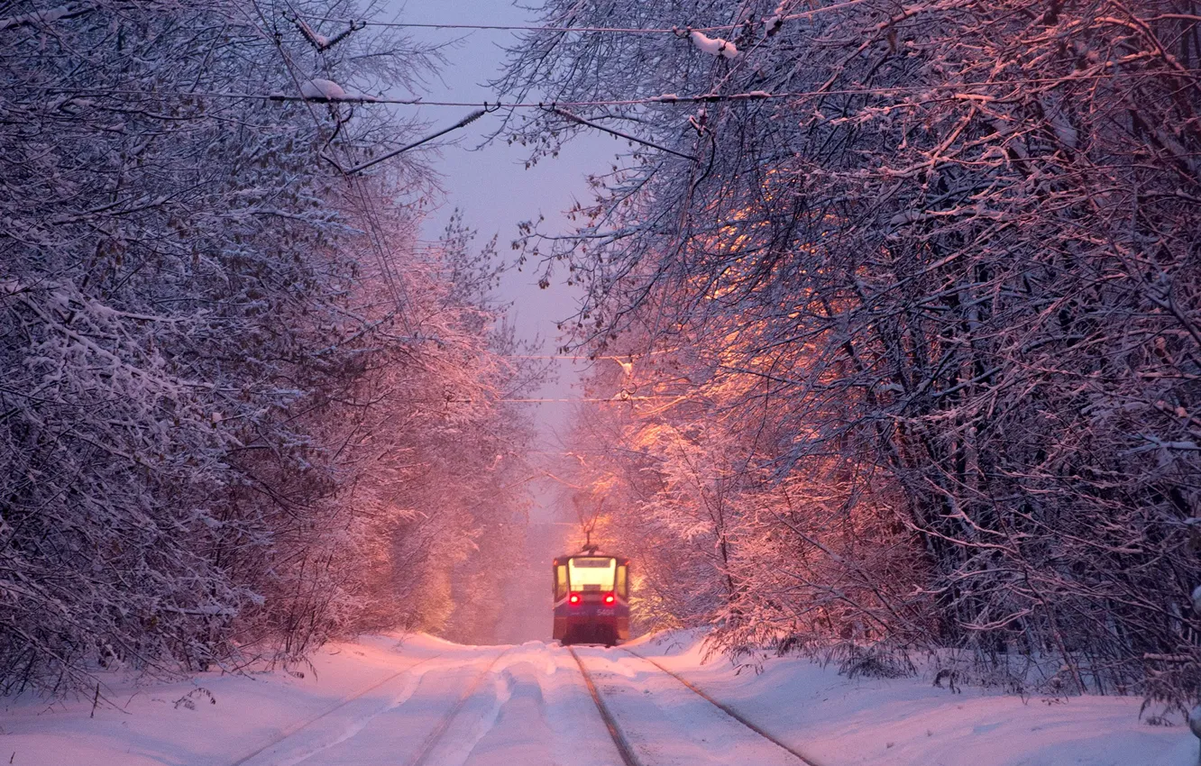 Photo wallpaper winter, tram, winter, tram, Alexey Kharitonov