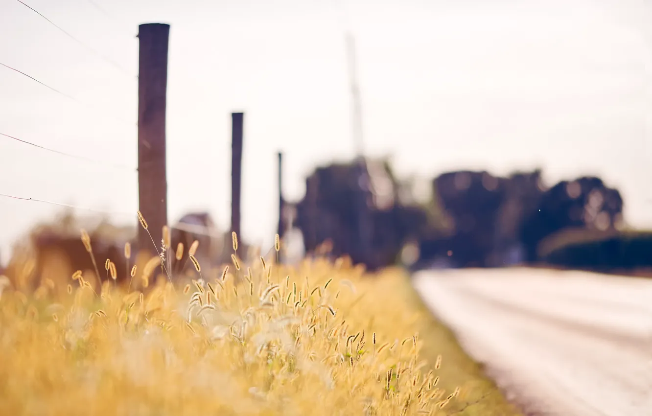 Photo wallpaper road, grass, the fence