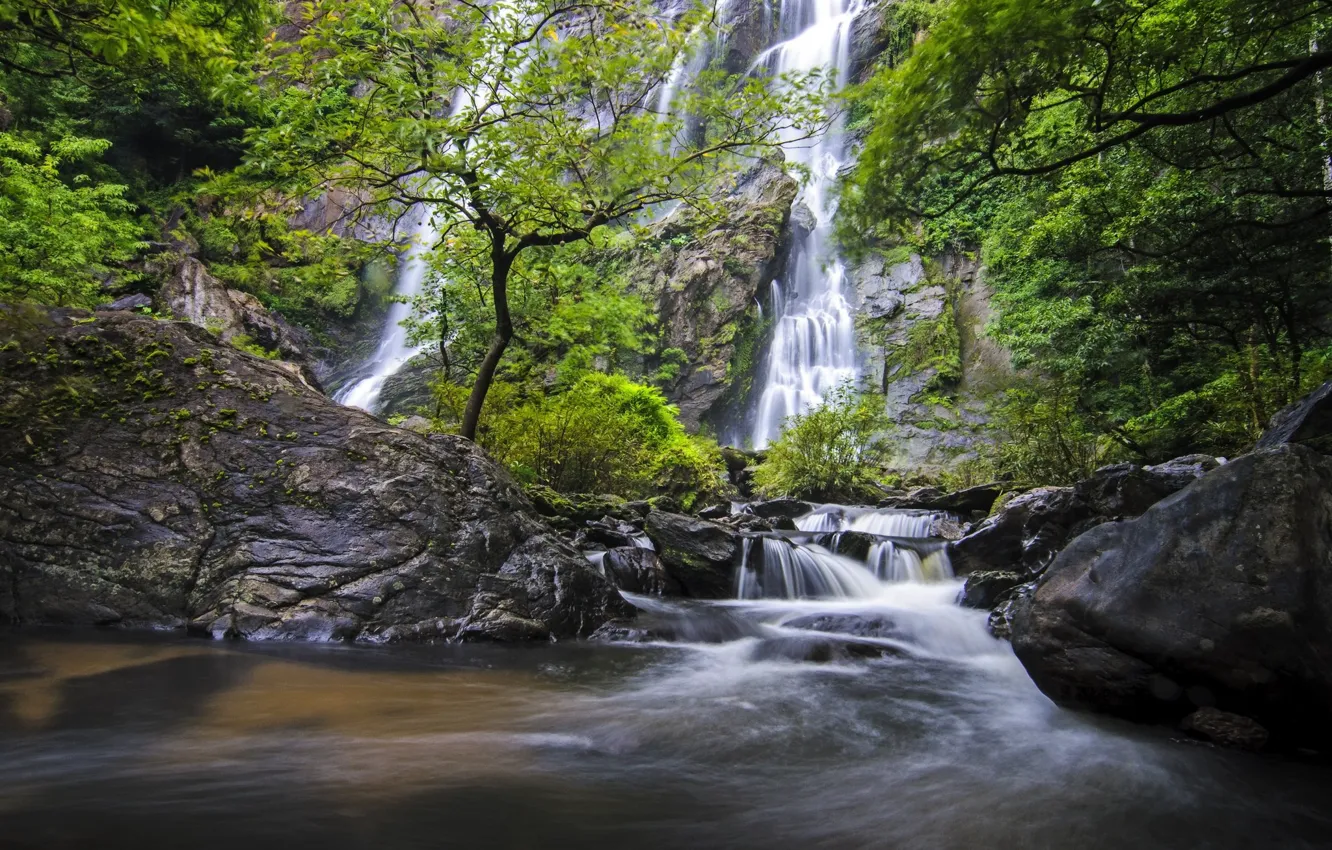 Photo wallpaper trees, river, waterfall