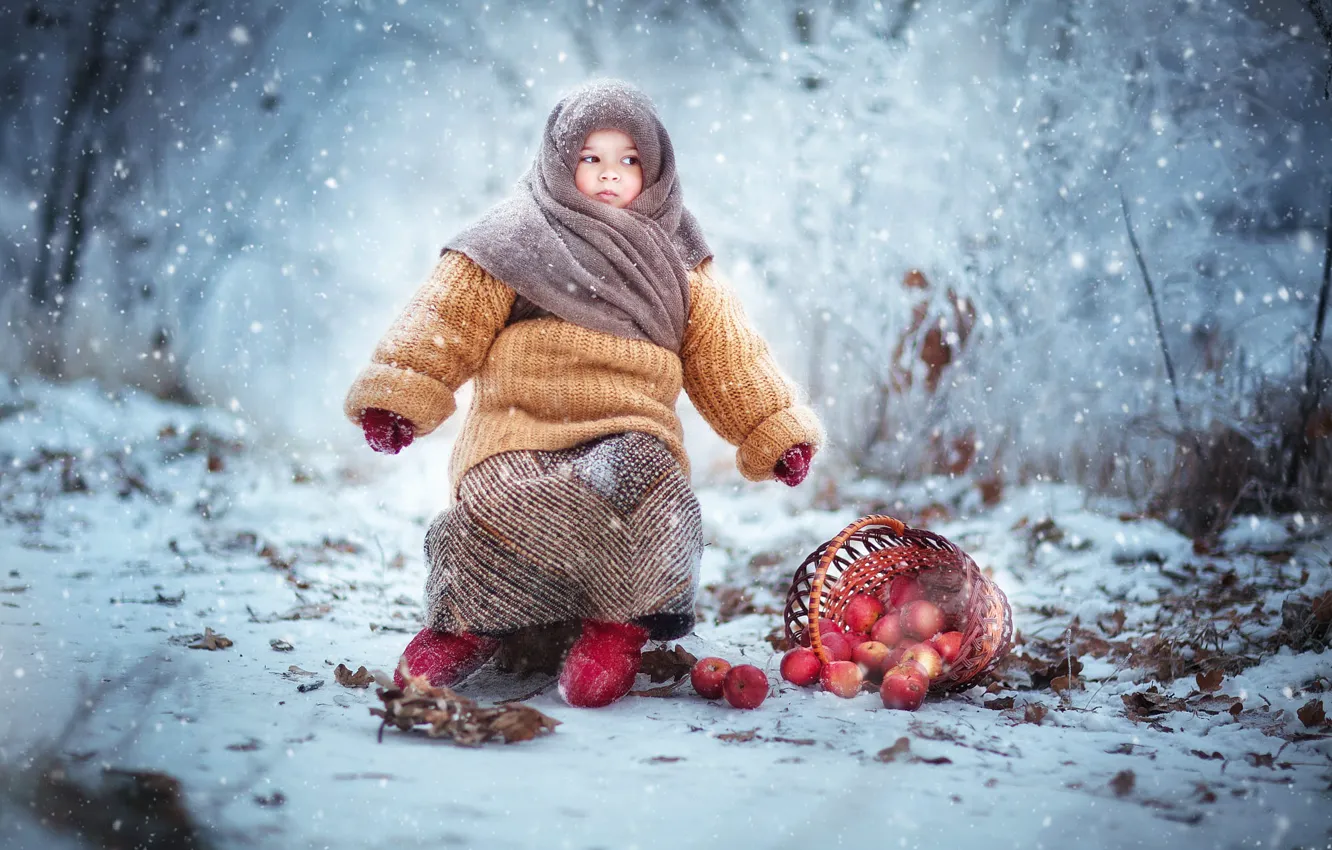 Photo wallpaper winter, look, snow, branches, nature, glade, apples, child