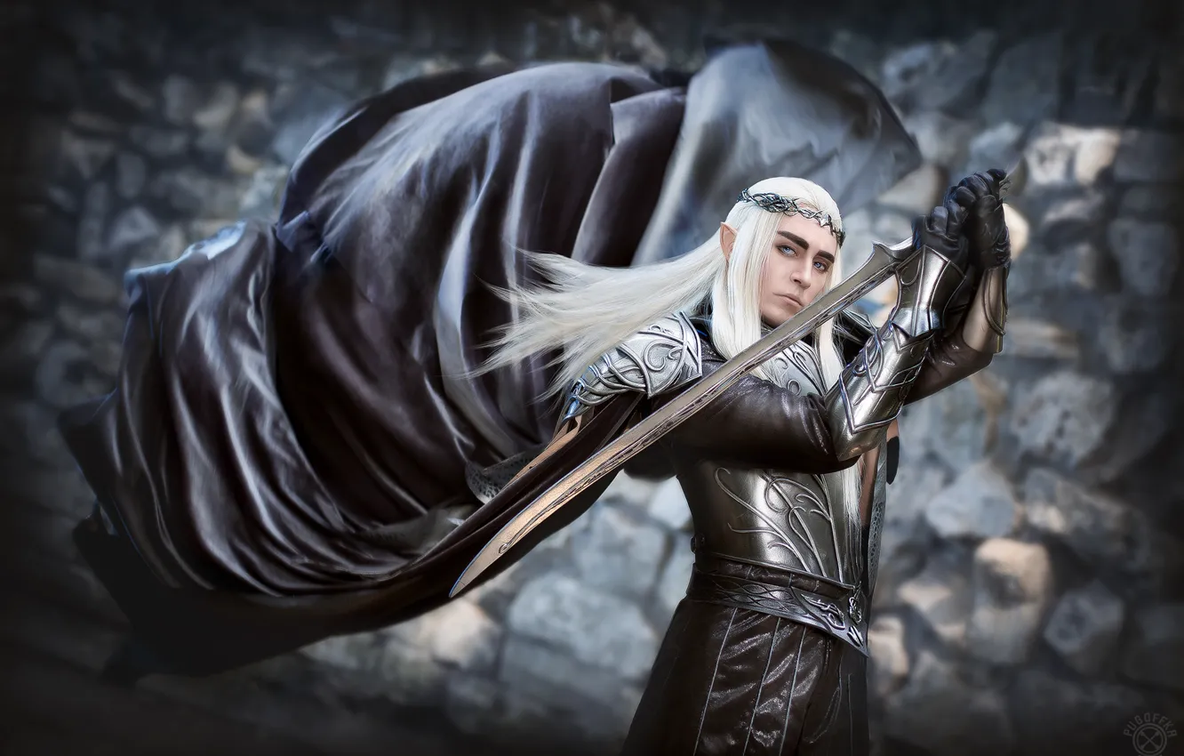 Photo wallpaper look, elf, sword, art, cosplay, The hobbit, King of the elves