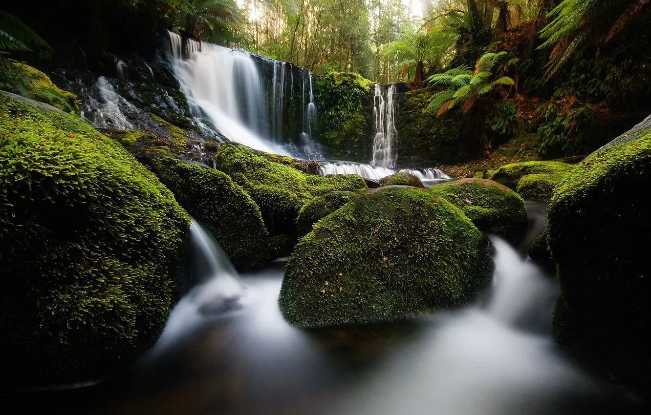 Photo wallpaper nature, stones, waterfall, moss, Australia, Tasmania, Mount Field National Park, Horseshoe Falls