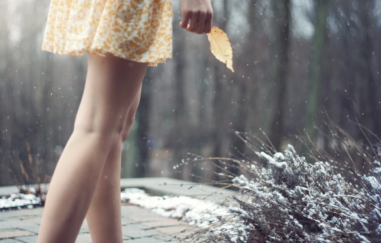 Photo wallpaper forest, leaves, girl, feet, dress