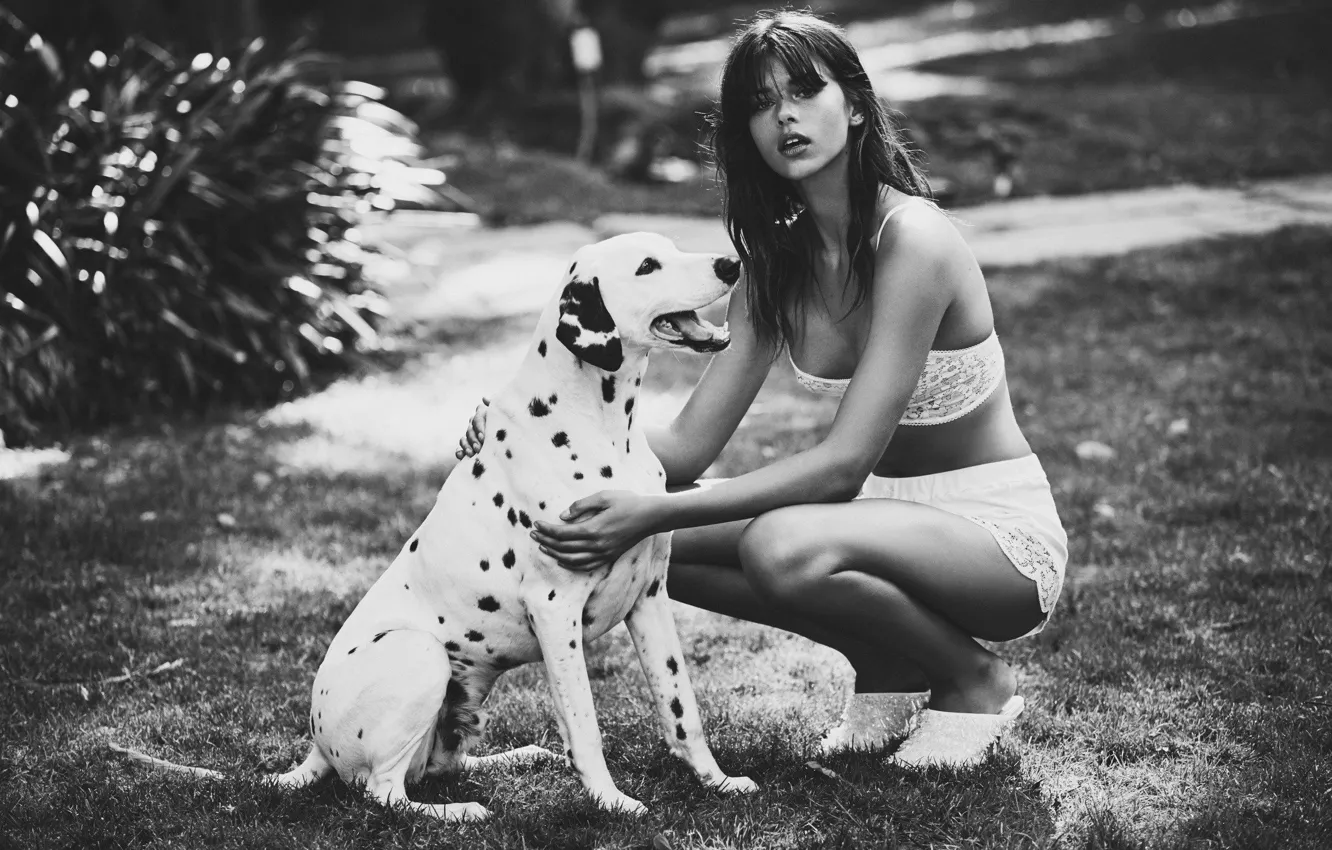 Photo wallpaper black&white, lingerie, dog, model, beauty, lips, look, dalmatian