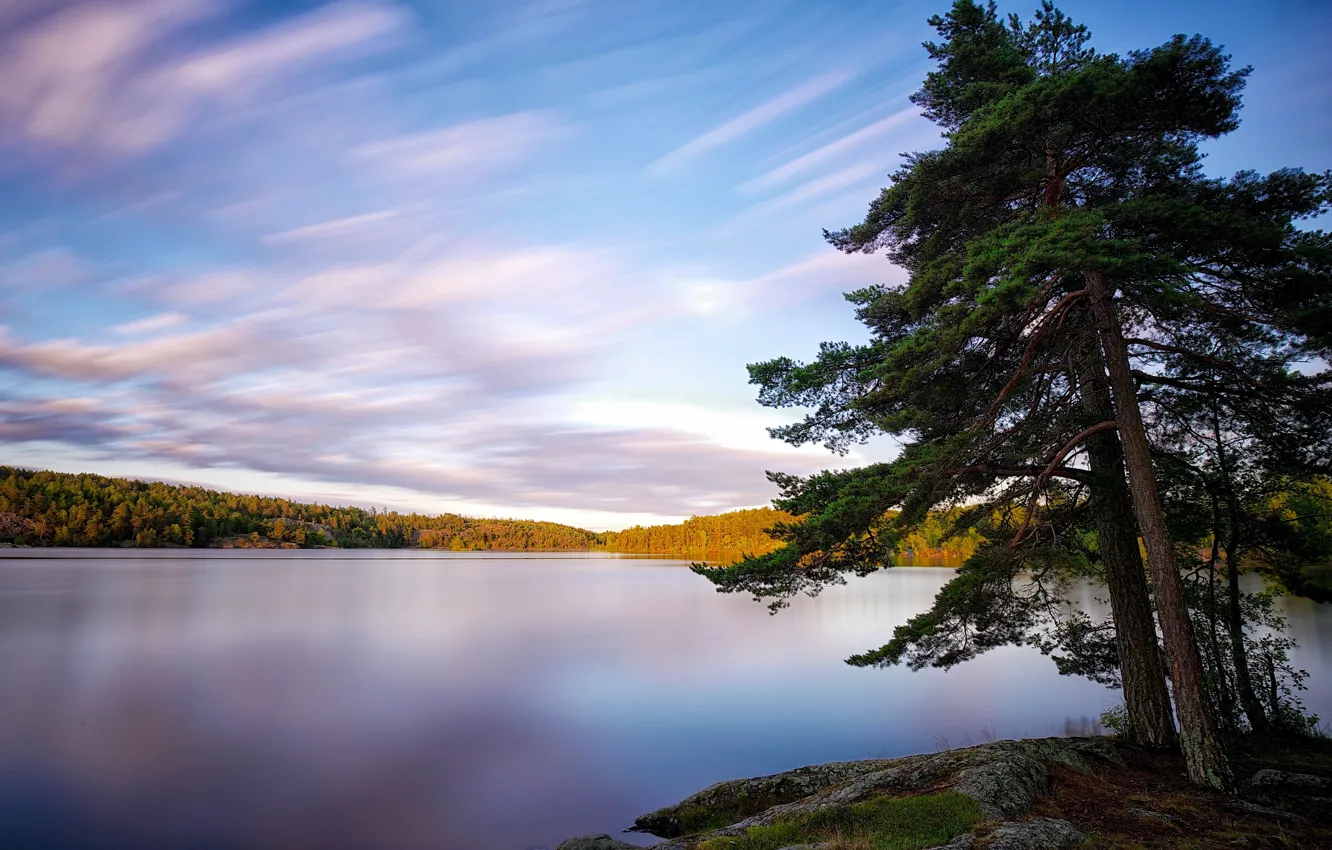 Photo wallpaper trees, lake, Sweden, Sweden, Lake Källtorpssjön