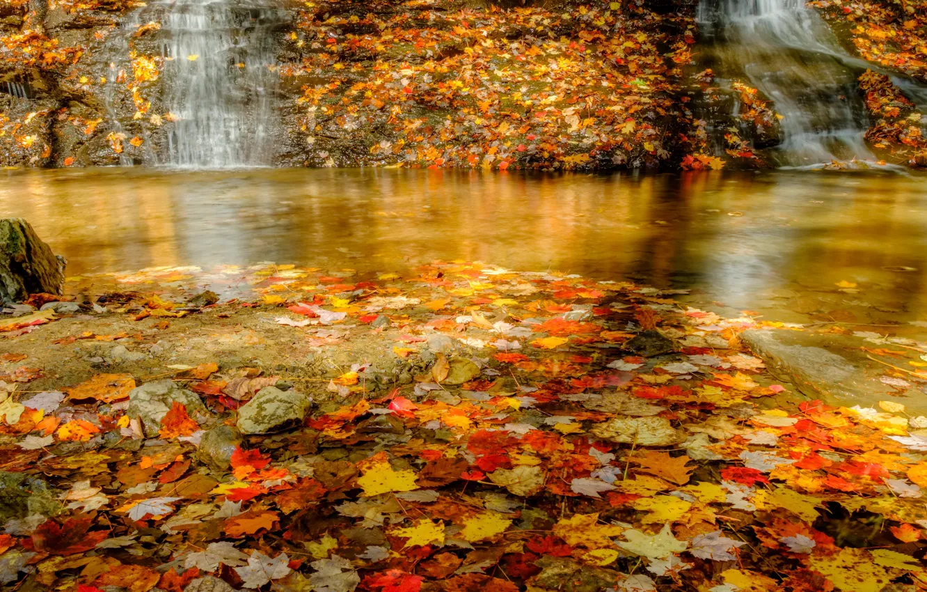 Photo wallpaper autumn, leaves, lake