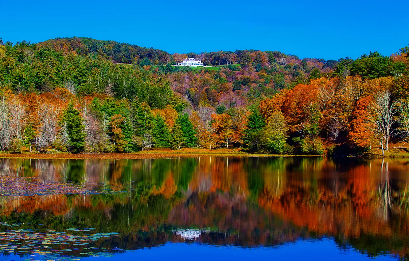 Photo wallpaper autumn, forest, trees, landscape, lake, house, reflection, river