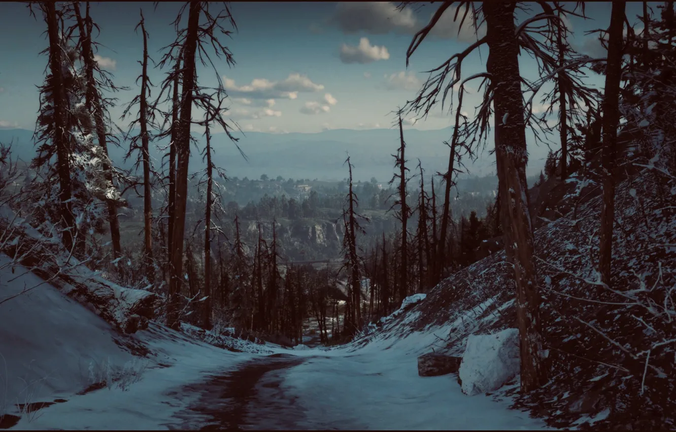 Photo wallpaper HDR, game, wood, winter, mountain, horizon, cold, UHD